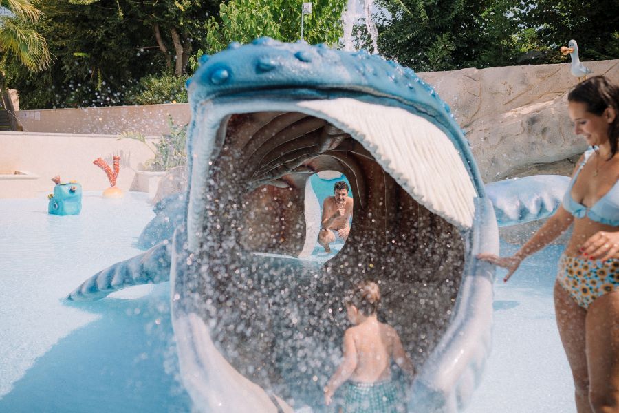 Funny whale in the kiddie pool