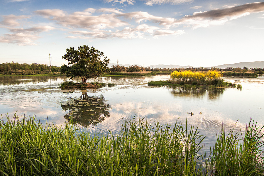 Natural Park Aiguamolls de l'Empordà