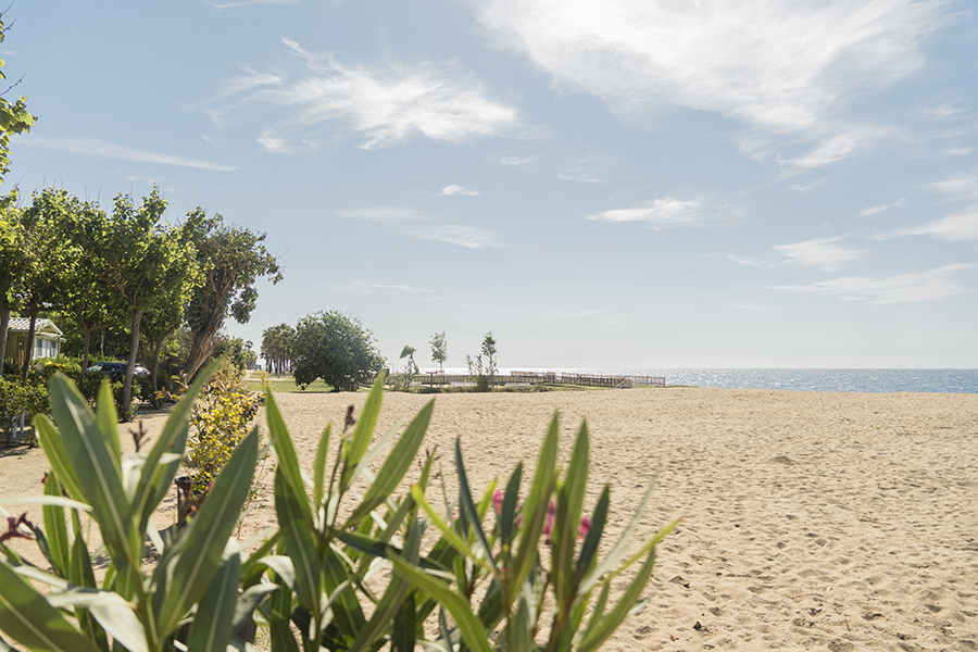 Camping Senia Camping Caballo de mar Bungalow Family Beach-foto habitacion individual Bungalow en la playa