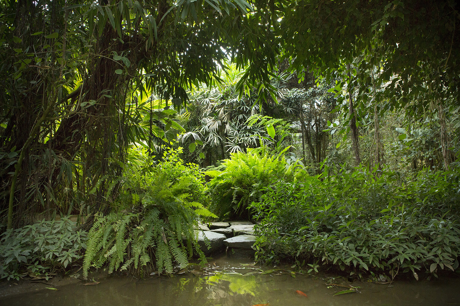 Mariposario de Empuriabrava - Camping Sènia Riu