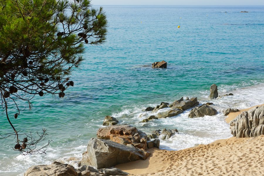 Camping Senia Cala Gogo Camping on the beach