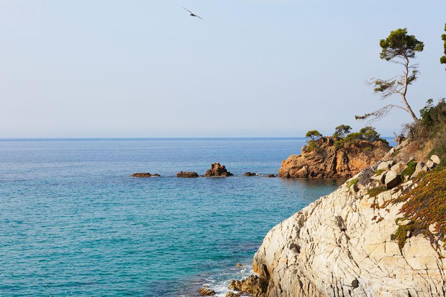 Camping Cala Gogo camping near the Camino de Ronda (Playa de Aro sagaro)