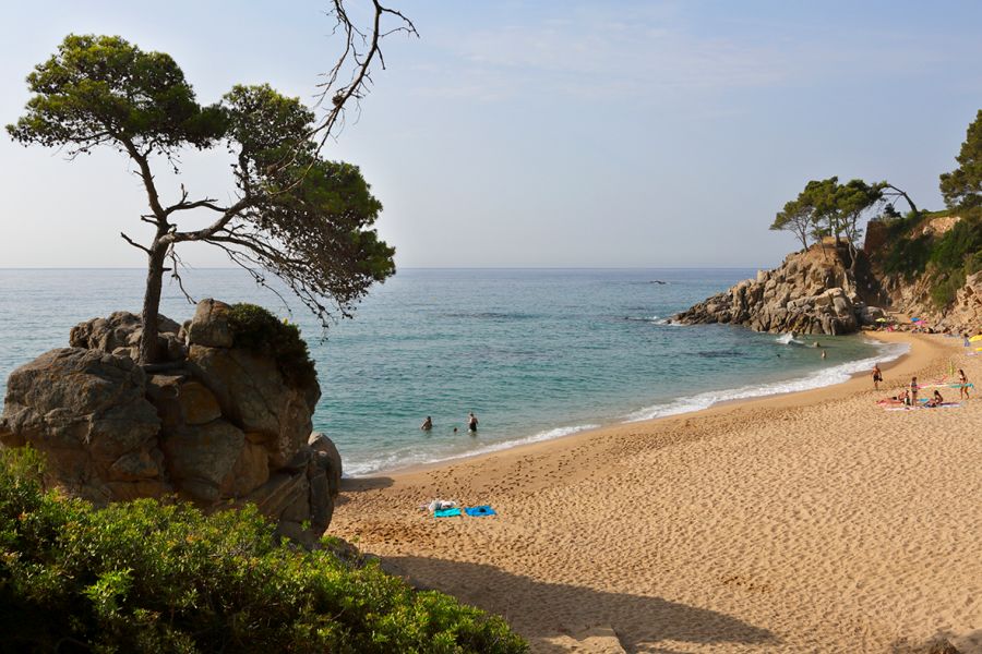 Camping Cala Gogo camping near the Camino de Ronda (Playa de Aro sagaro)