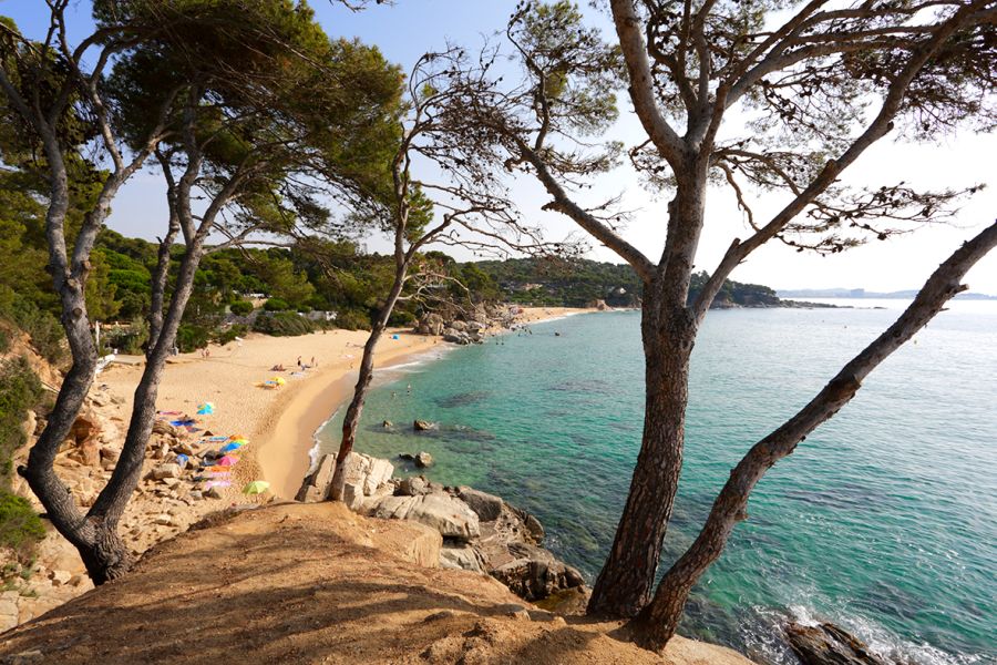 Camping Cala Gogo camping near the Camino de Ronda Sant Antoni Playa de Aro