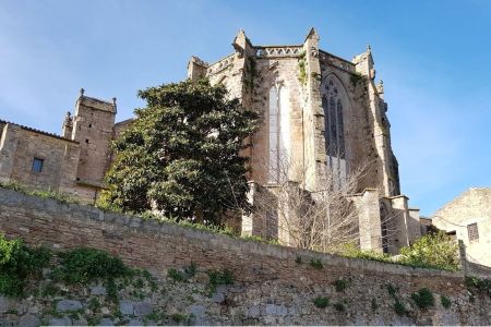 Cerca de Castelló d' Ampúries