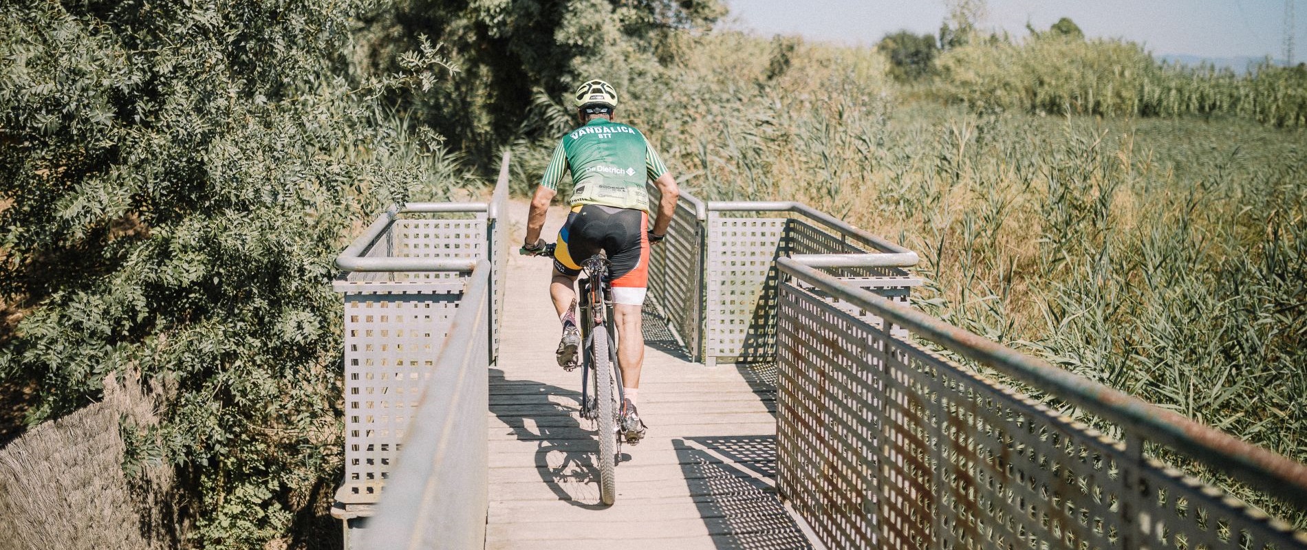 Cycling groups at Campings Senia