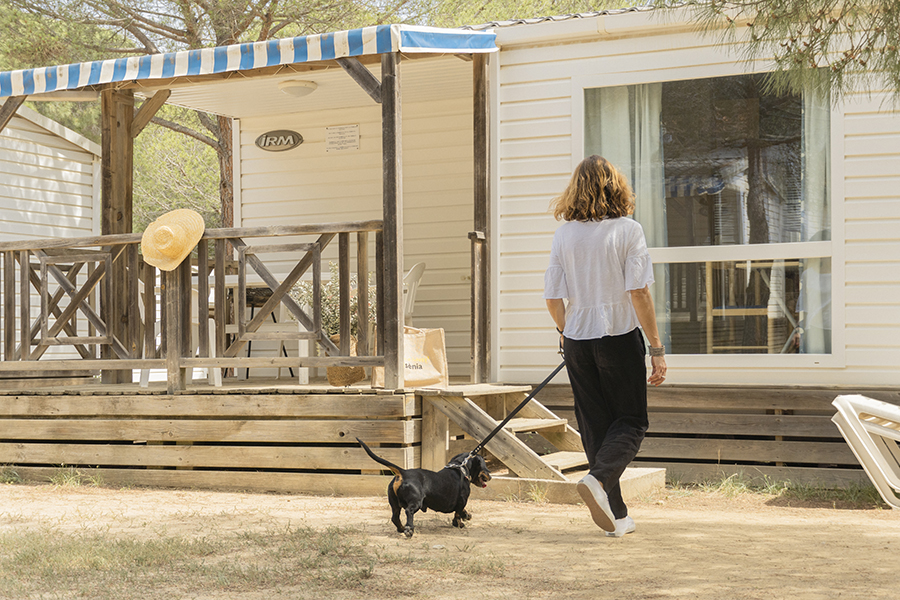 Owner walking her dog through the Internacional campsite