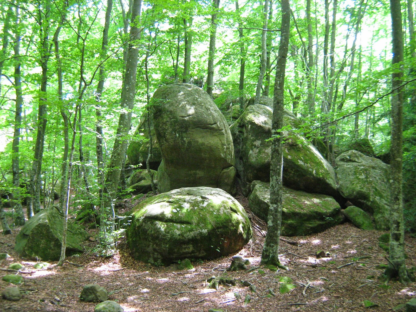 Roques encantades in Rupit near the Senia Rupit campsite