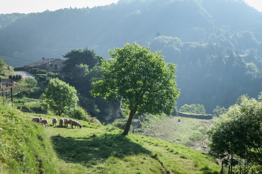 Senia Rupit campsite-camping and hiking-Osona Mountains in the center of Catalonia