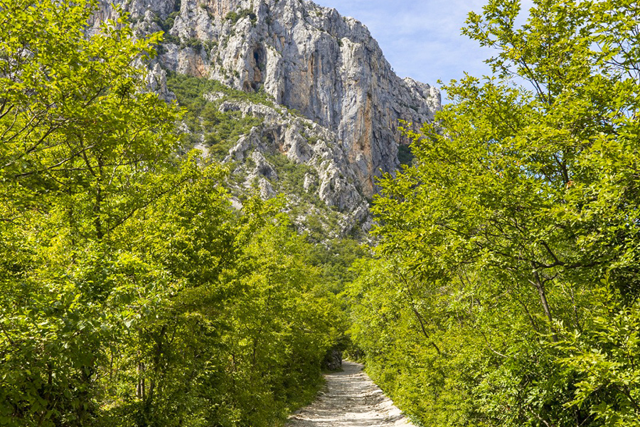 Hiking in nature Ugljan