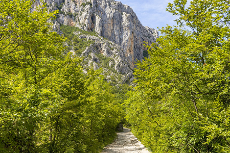 Hiking in Ugljan