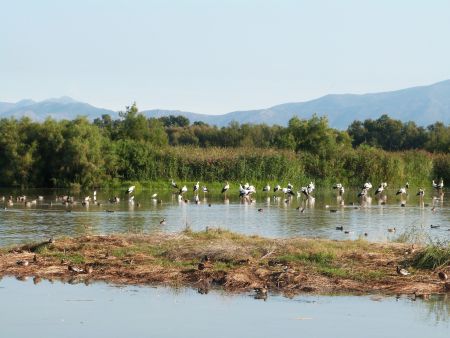 Parque Natural Els Aiguamolls de Emporda