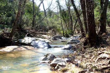 Nature near the camping