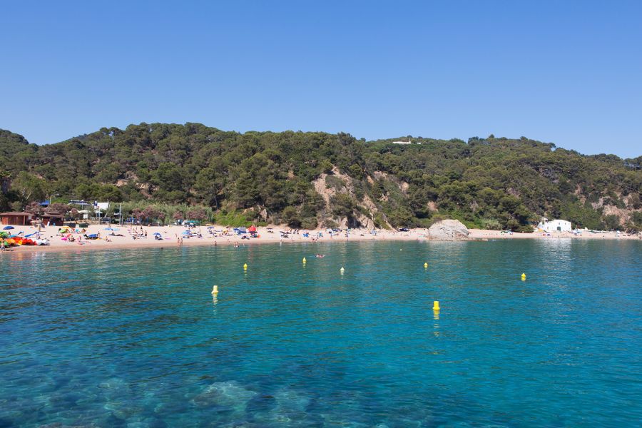 Very clean waters in Cala Canyelles