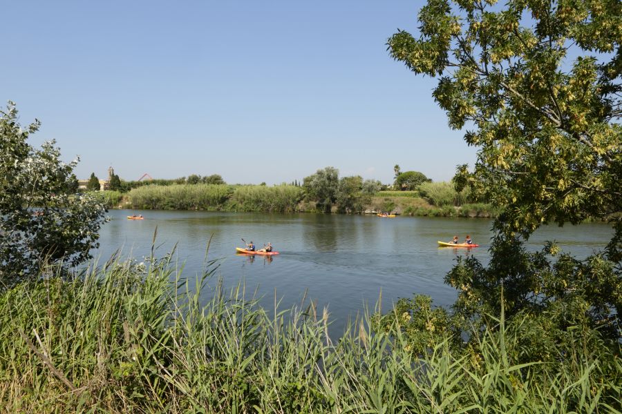 Camping Senia riu actividades camping con kayak por el rio barca y kayak